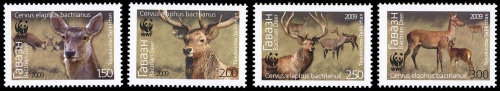 2009, Tadschikistan, 527-30, **