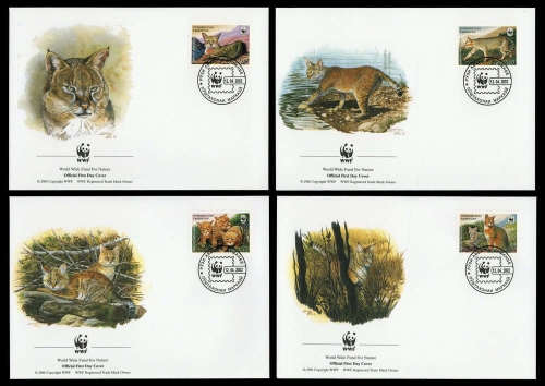 2002, Tadschikistan, 208-11, FDC