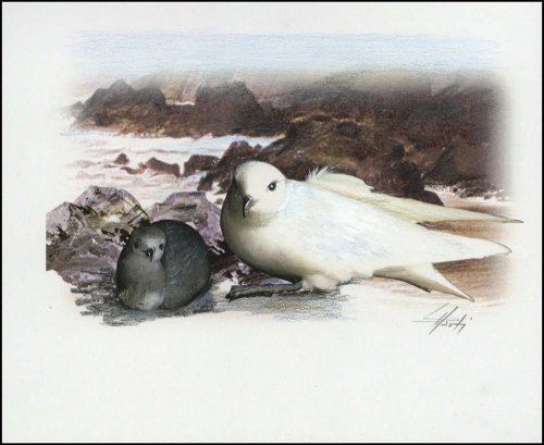 1997, Ross Gebiet, (50) Original