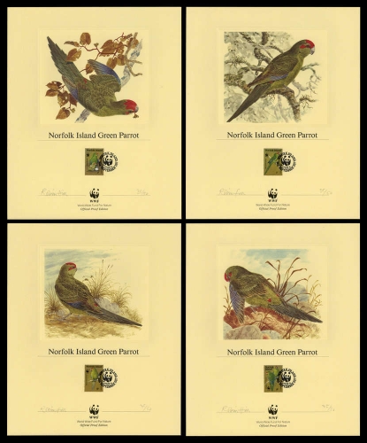 1987, Norfolk, 421-24 KD USA hs