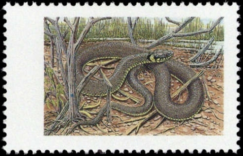 1993, Moldawien, 54 I, **