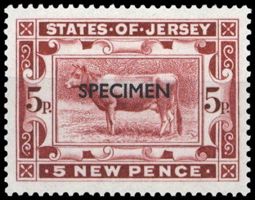 Jersey, **
