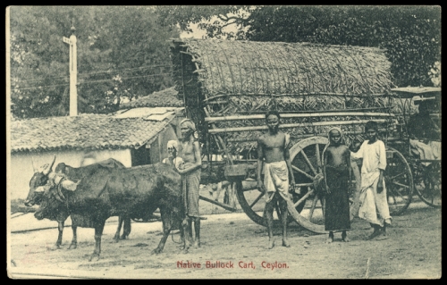 Ceylon