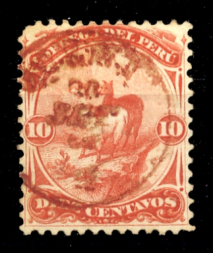 Peru, 13, gest.