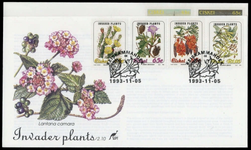 1993, Ciskei, 242-45 u.a., FDC