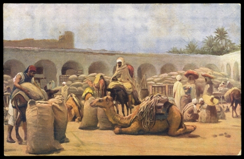 1908, Tunesien, 33