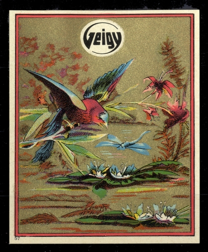1920, Schweiz