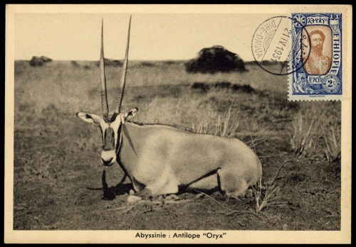 1919, Äthiopien, 68, Brief