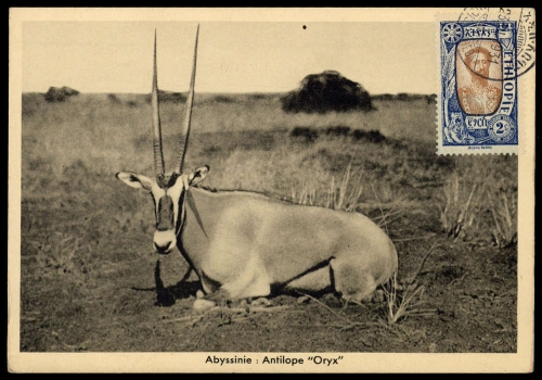 1919, Äthiopien, 68, Brief