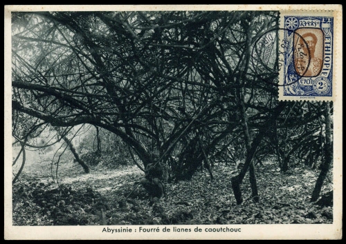1919, Äthiopien, 68, Brief