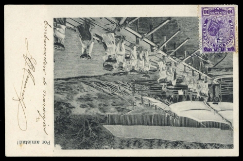 1904, Paraguay, Brief