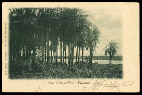 1904, Paraguay, Brief