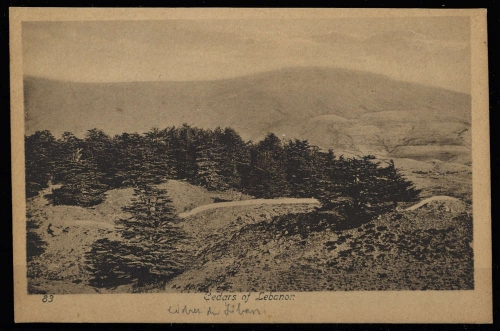 1930, Libanon, Brief
