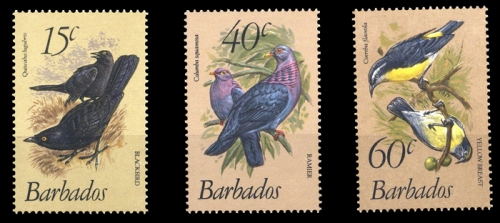 1982, Barbados, 551-53, **