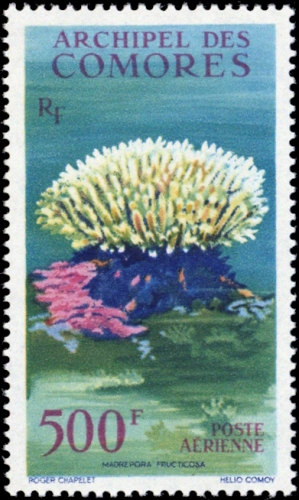 1962, Komoren, 48, **