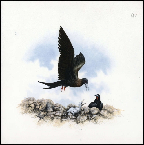 1990, Ascension, (521) Original