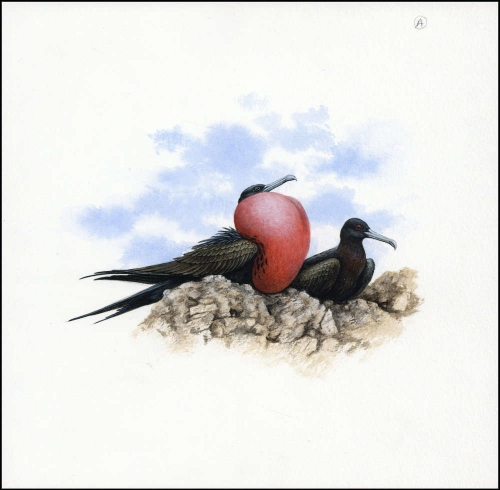 1990, Ascension, (523) Original