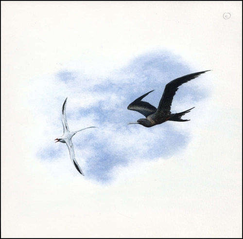 1990, Ascension, (524) Original