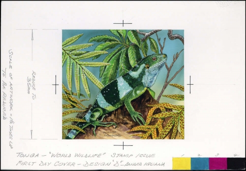 1990, Tonga, (1140) Original