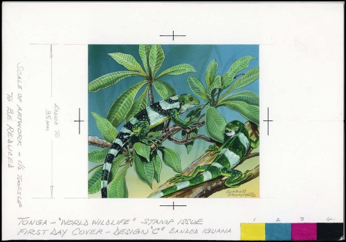 1990, Tonga, (1142) Original