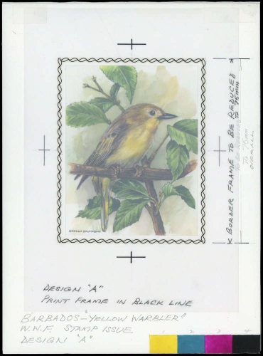 1991, Barbados, (770) Original