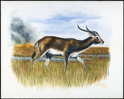1987, Sambia, (438) Original