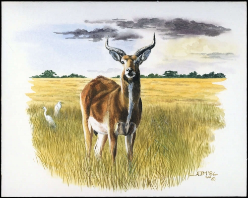1987, Sambia, (441) Original