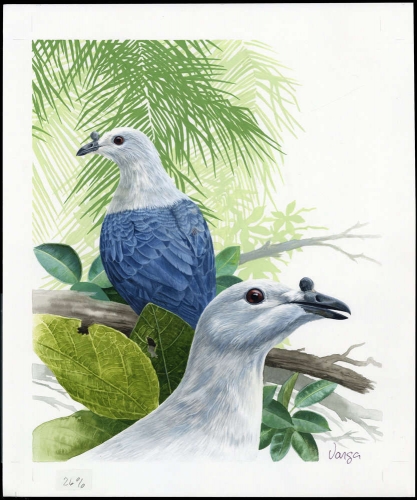 1995, Tokelau Inseln, (210) Original