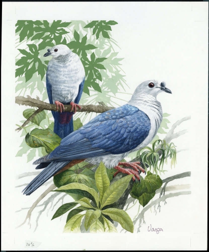 1995, Tokelau Inseln, (211) Original