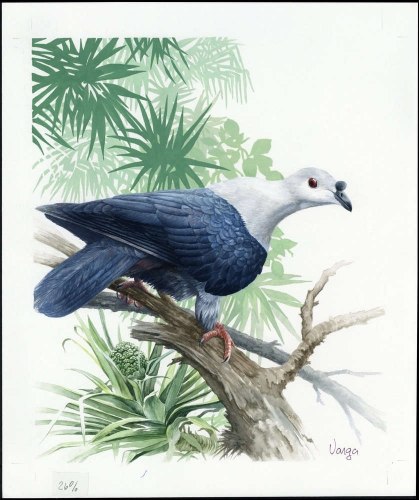 1995, Tokelau Inseln, (212) Original