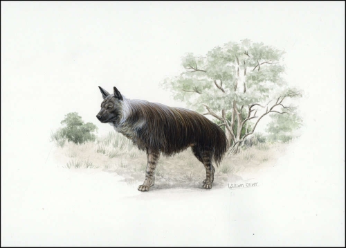 1995, Botswana, (588) Original
