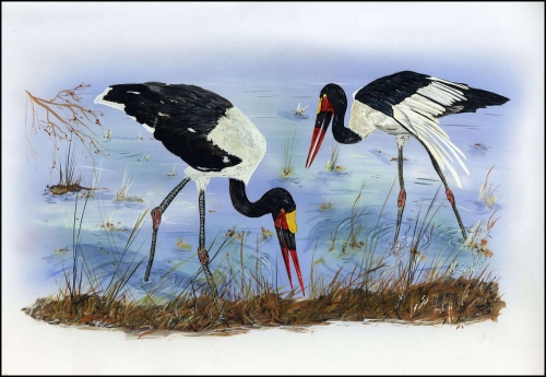 1996, Sambia, (656) Original