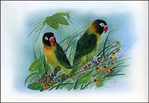1996, Sambia, (657) Original