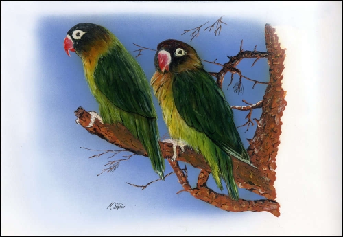 1996, Sambia, (658) Original