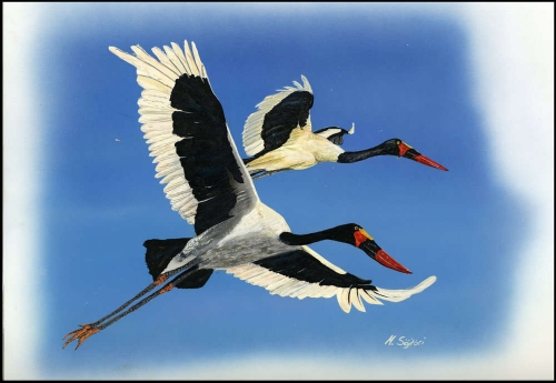 1996, Sambia, (659) Original