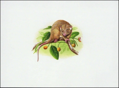 2002, Salomoninseln, (1064) Original