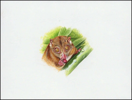 2002, Salomoninseln, (1065) Original