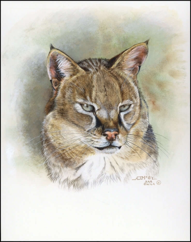 2002, Tadschikistan, (210) Original