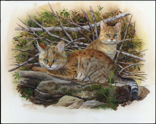 2002, Tadschikistan, (211) Original