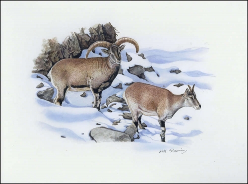 2005, Tadschikistan, (392) Original
