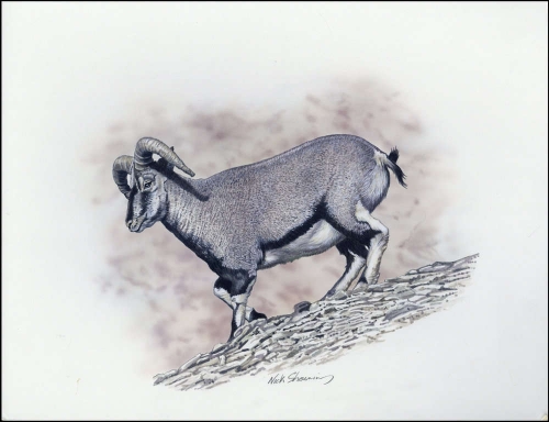 2005, Tadschikistan, (393) Original