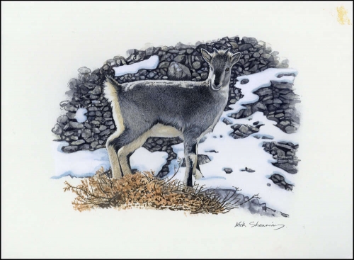 2005, Tadschikistan, (395) Original