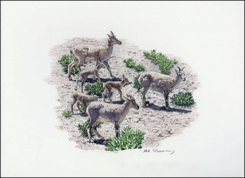 2005, Tadschikistan, (394) Original