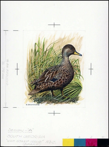 1992, Falkland Abhänige Gebiete F Süd Georgien, (203) Original