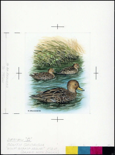 1992, Falkland Abhänige Gebiete F Süd Georgien, (205) Original