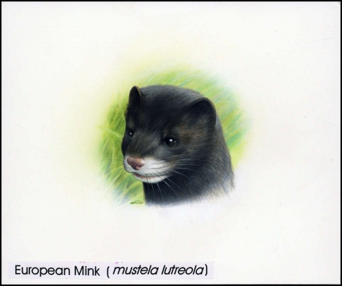1999, Georgien, (310) Original