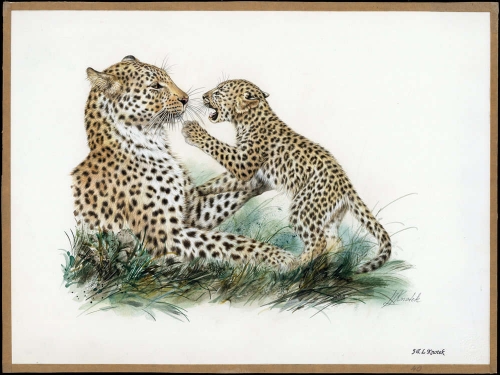 2005, Aserbeidschan, (594) Original