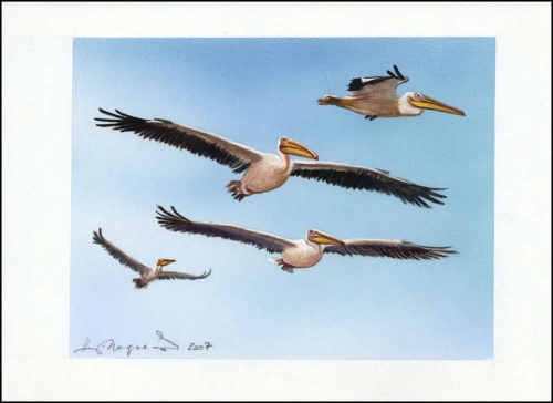 2007, Ukraine, (897) Original