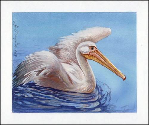 2007, Ukraine, (898) Original