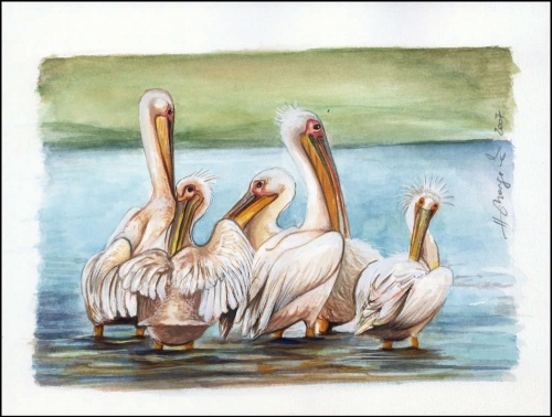 2007, Ukraine, (899) Original